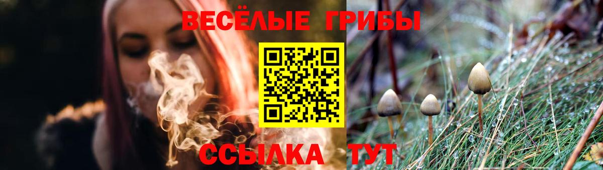 Псилоцибиновые грибы мицелий  Псилоцибиновые грибы мицелий  Северск  Вход с VPN 